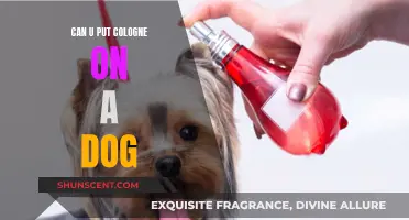 Should You Put Cologne on Your Dog?