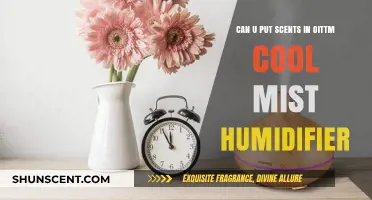 Adding Scents to Your Oittm Cool Mist Humidifier: What You Need to Know