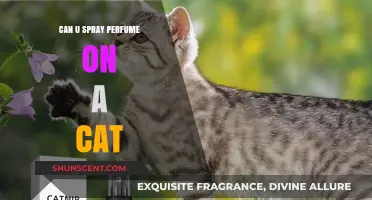 Perfuming Cats: Safe or Not?