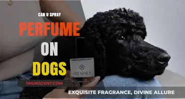 Should You Spray Perfume on Dogs?