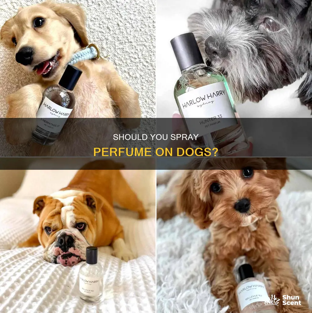 can u spray perfume on dogs
