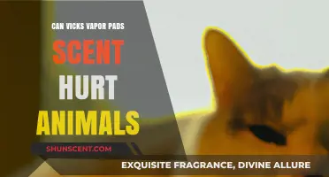 Can Vicks Vapor Pads Harm Pets? A Safety Guide for Pet Owners
