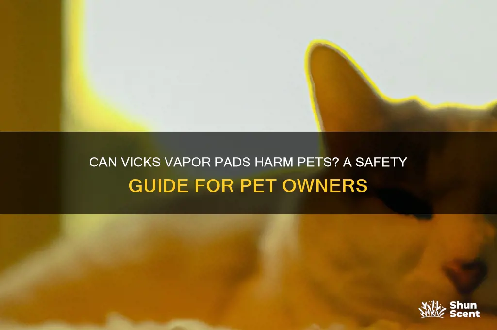 can vicks vapor pads scent hurt animals