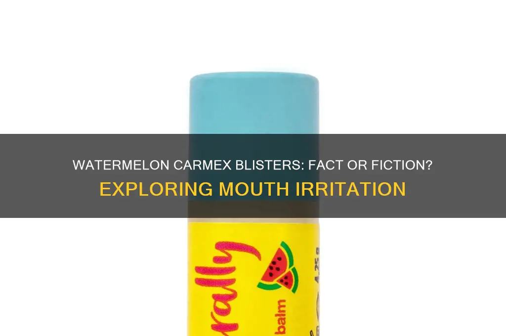 can watermelon scented carmex cause blisters on and around mouth