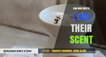 Do Wax Melts Lose Their Scent Over Time? Find Out Here