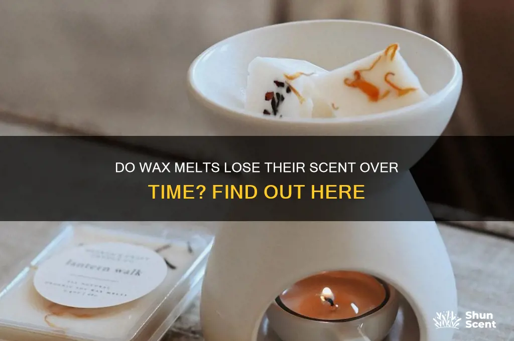 can wax melts lose their scent