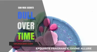 Do Wax Scents Fade? Understanding Fragrance Longevity in Candles