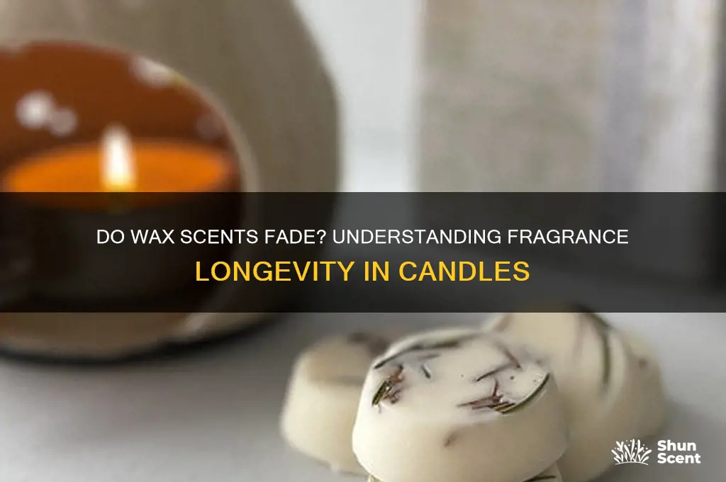 can wax scents dull over time