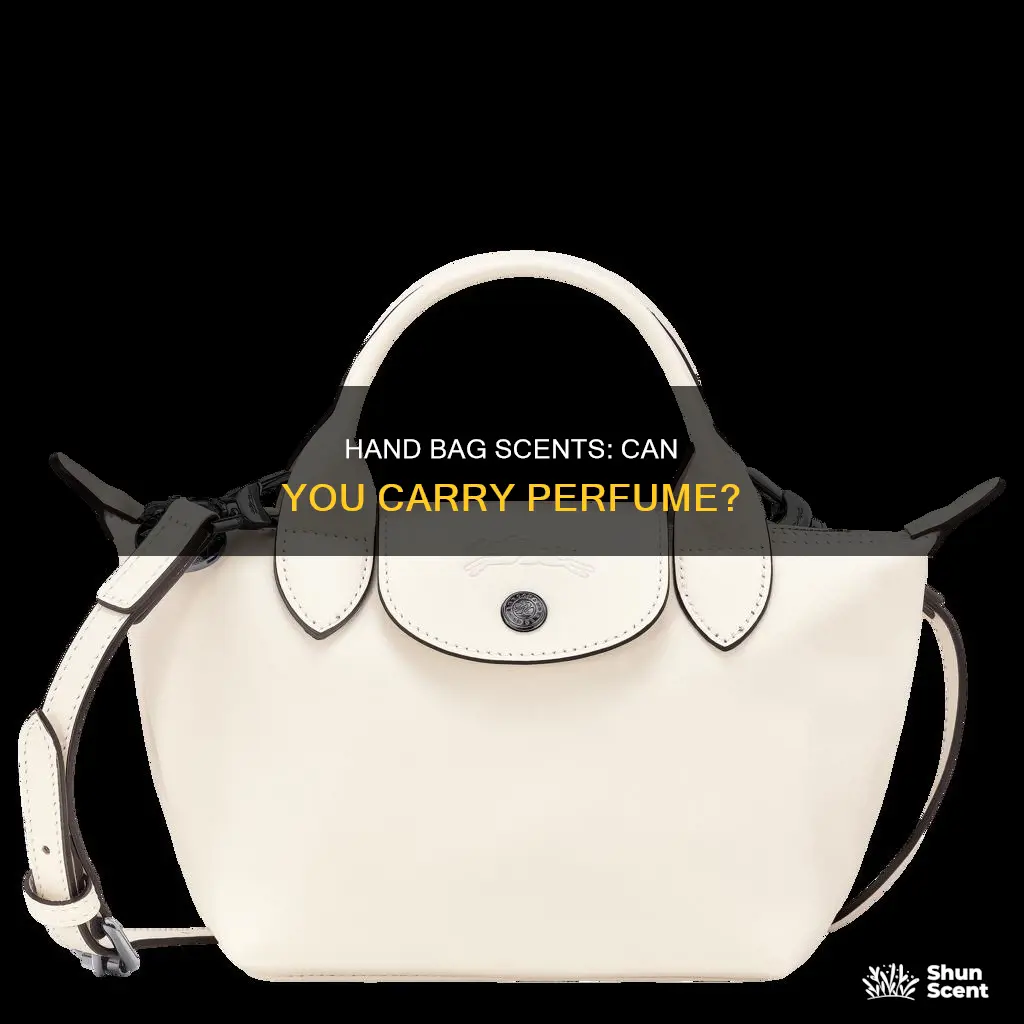 can we carry perfume in hand bag