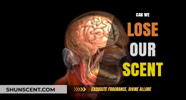 Can Humans Lose Their Natural Scent? Exploring the Science Behind It
