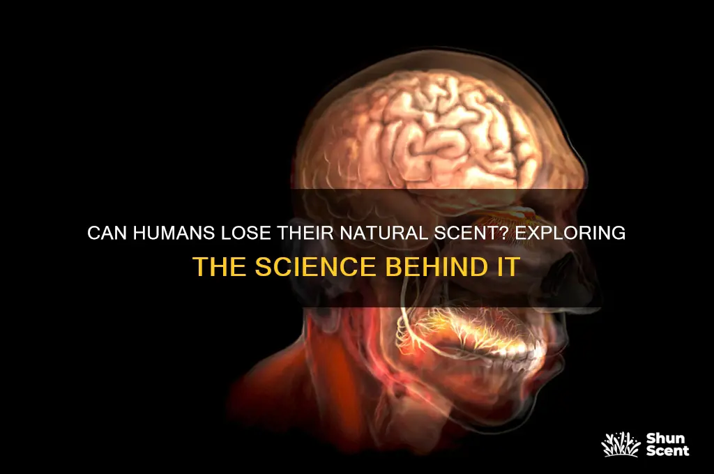 can we lose our scent