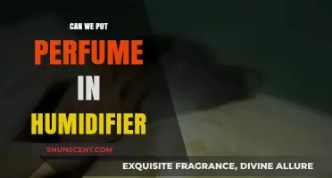 Using Perfume in Humidifiers: Safe or Not?