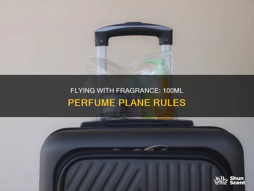 can we take 100ml perfume on plane