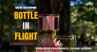 Traveling with Perfume: Can You Take It on a Plane?
