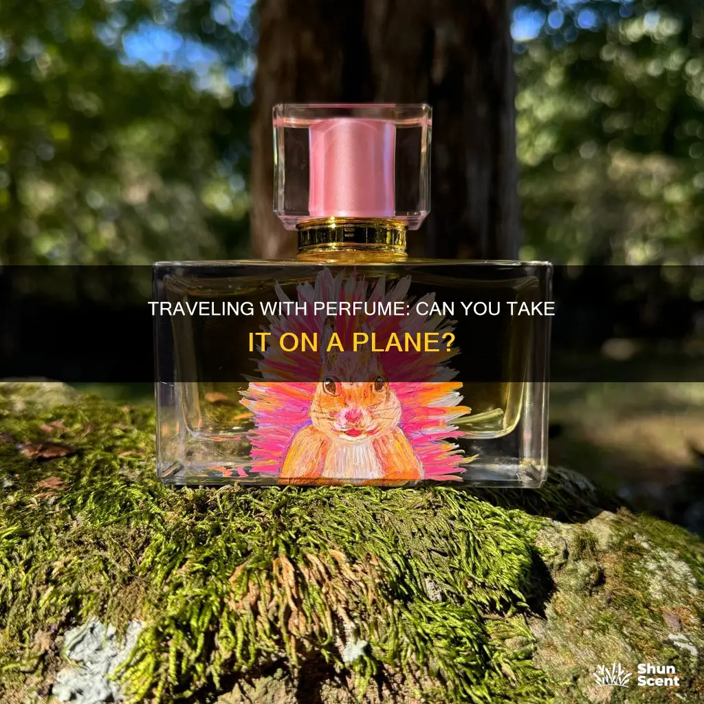can we take perfume bottle in flight