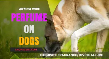 Human Perfume on Dogs: Safe or Not?