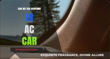 Using Perfume in Your AC Car: Safe or Not?