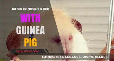 Perfumes and Guinea Pigs: Safe Scents?