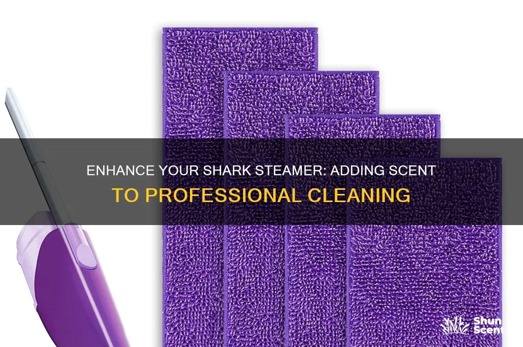 can you add a scent to you professional shark steamer
