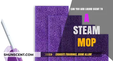 Enhancing Steam Mopping: Adding Liquid Scents for Fresh, Clean Floors