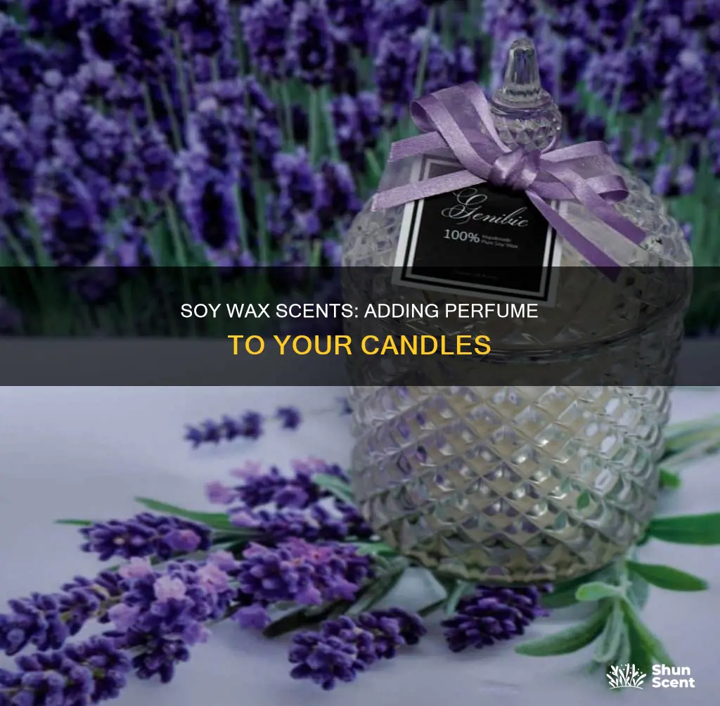 can you add perfume to soy wax