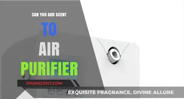 Enhancing Air Purifiers: Adding Scents for Fresh and Fragrant Indoor Air