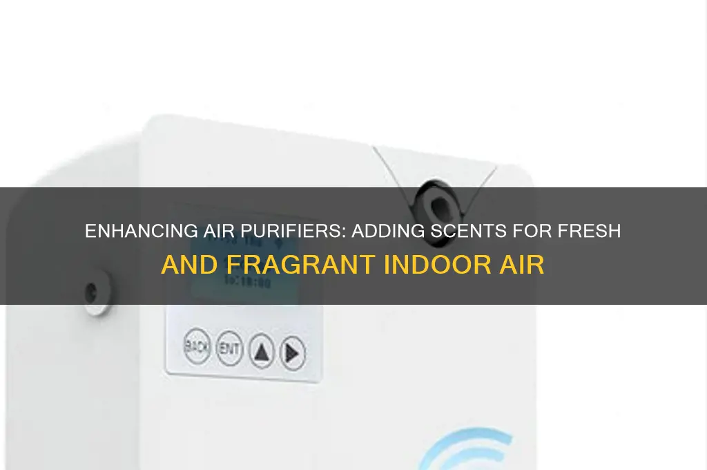 can you add scent to air purifier