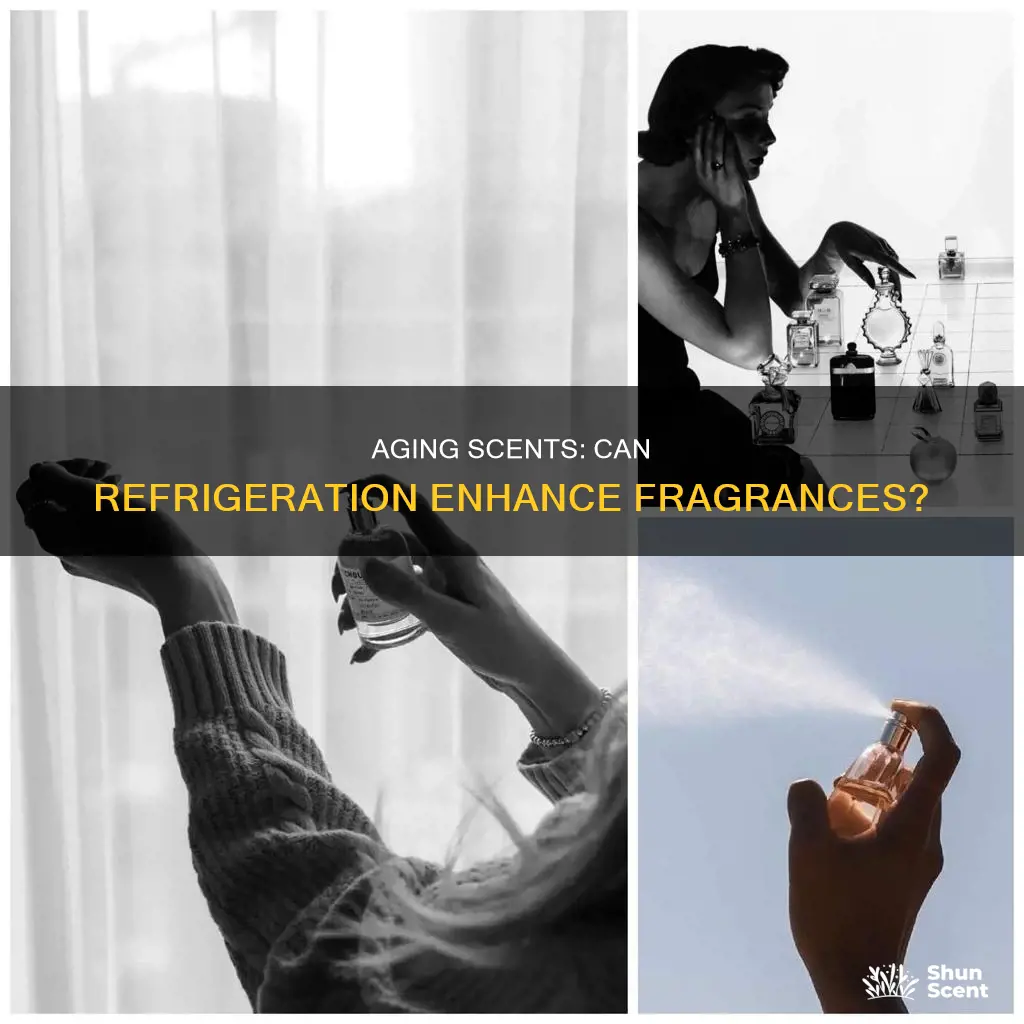 can you age perfume in refrigerator