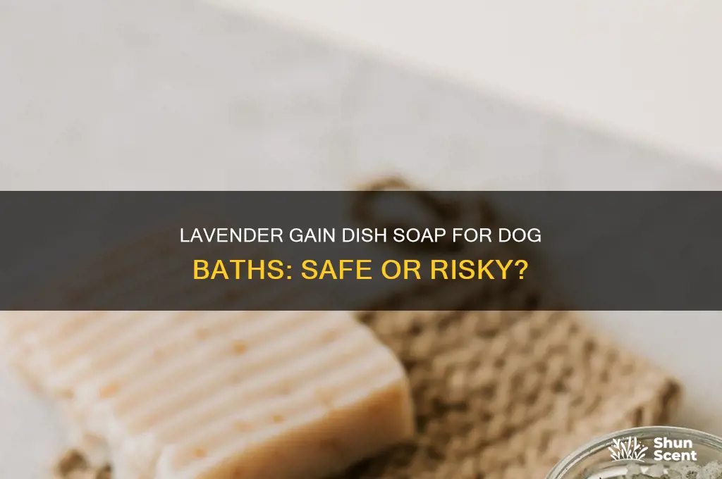 can you bathe dogs in lavender scented gain dish soap