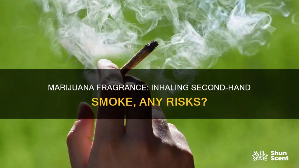 can you be affected by breathing the fragrance of marijauana