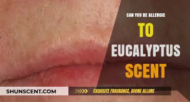 Can Eucalyptus Scent Trigger Allergies? Understanding Potential Reactions