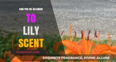 Lily Scent Allergies: Uncovering the Truth Behind Floral Sensitivities