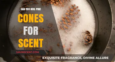 Boiling Pine Cones for Aromatic Scents: A Natural DIY Guide