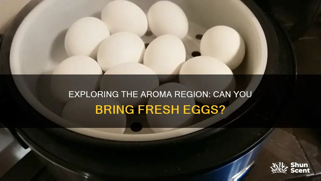 can you bring eggs to the aroma region