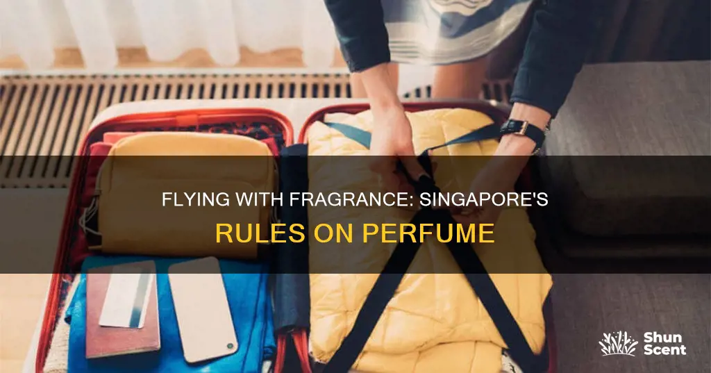 can you bring perfume on a plane singapore