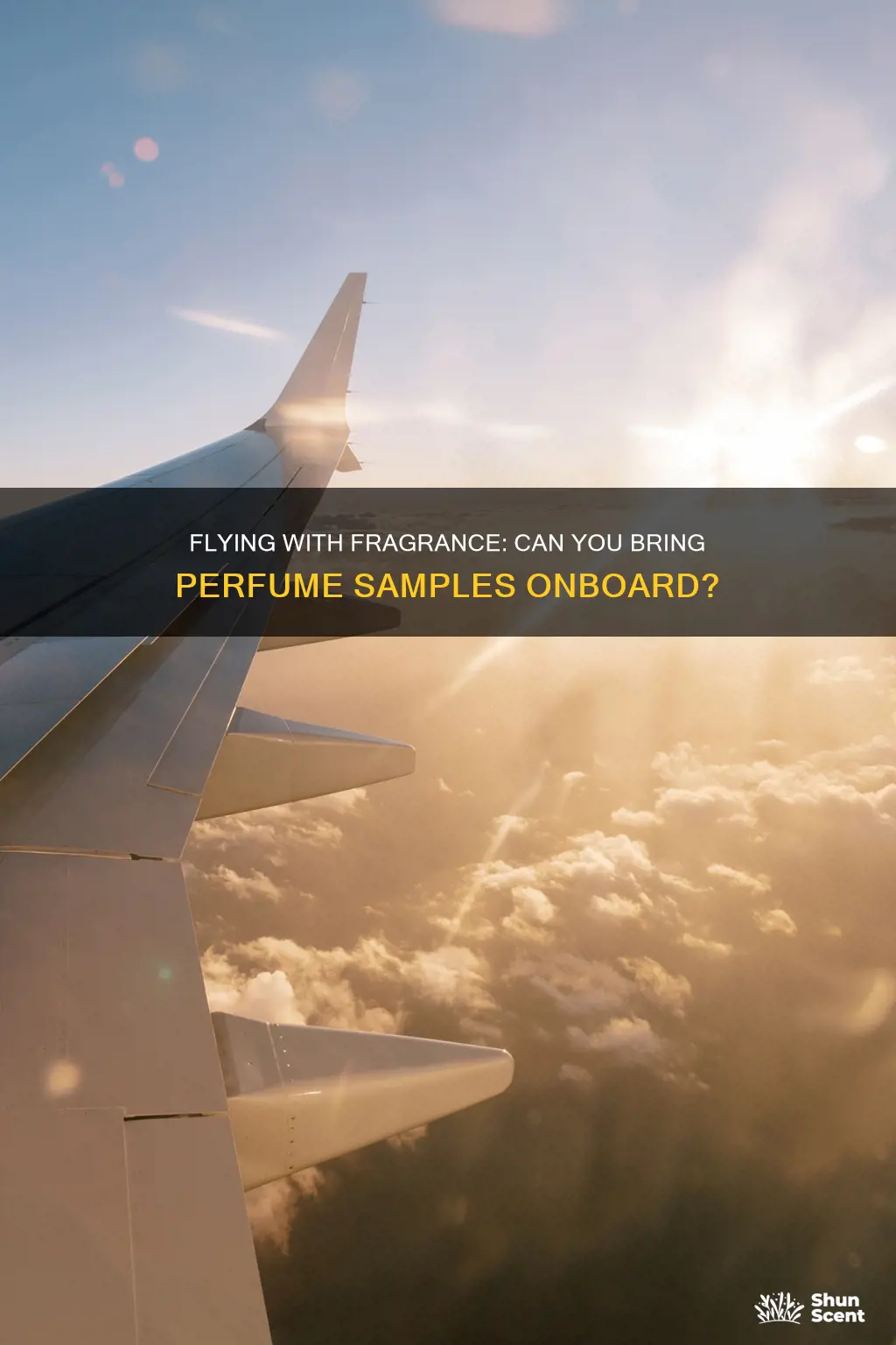 can you bring perfume samples plane