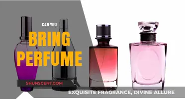 Travel Scents: Can You Bring Perfume?