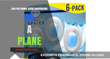 Flying with Fragrance: Can Scent Dispensers Pass Airport Security?