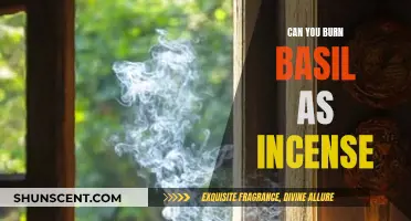 Burning Basil as Incense: A Fragrant Experience