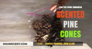 Burning Cinnamon-Scented Pine Cones: Safety Tips and Creative Uses