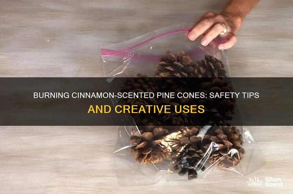 can you burn cinnamon scented pine cones