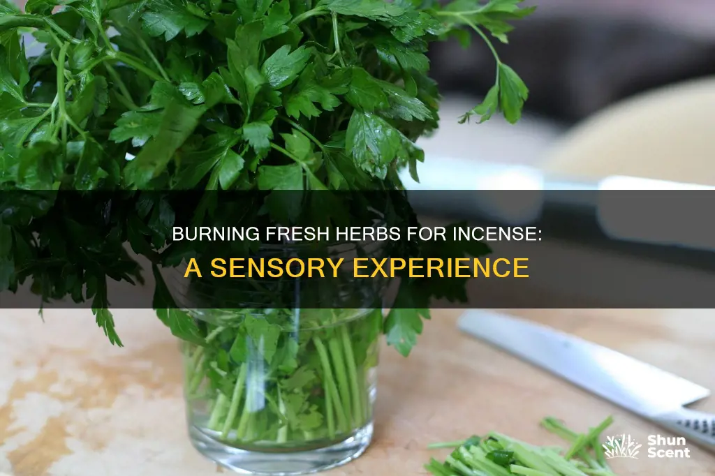 can you burn fresh herbs for incense
