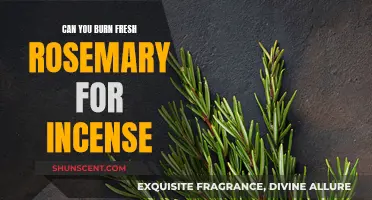 Burning Fresh Rosemary for Incense: A How-to Guide