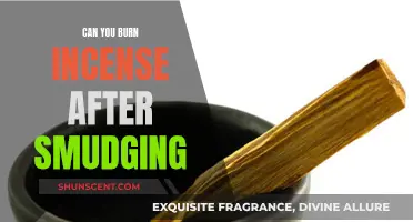 Incense Burning After Smudging: Is It Safe?