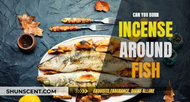Incense and Fish: Safe or Not?