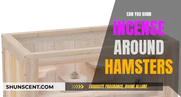Incense Around Hamsters: Safe or Harmful?
