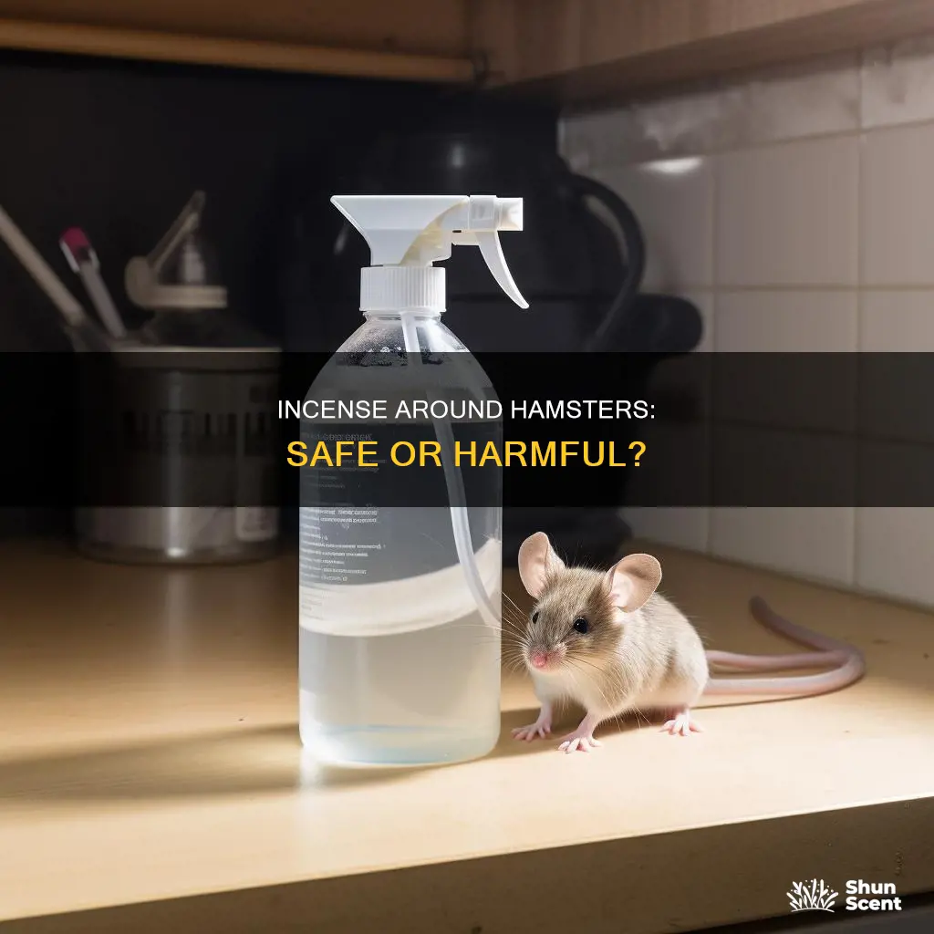 can you burn incense around hamsters