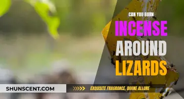 Incense and Lizards: A Safe Combination?