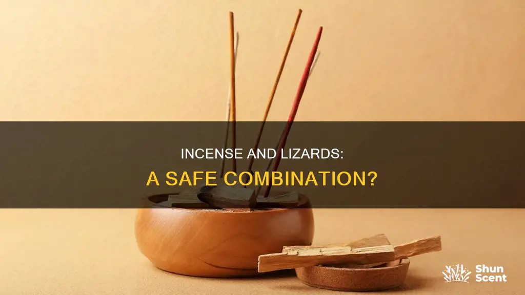 can you burn incense around lizards