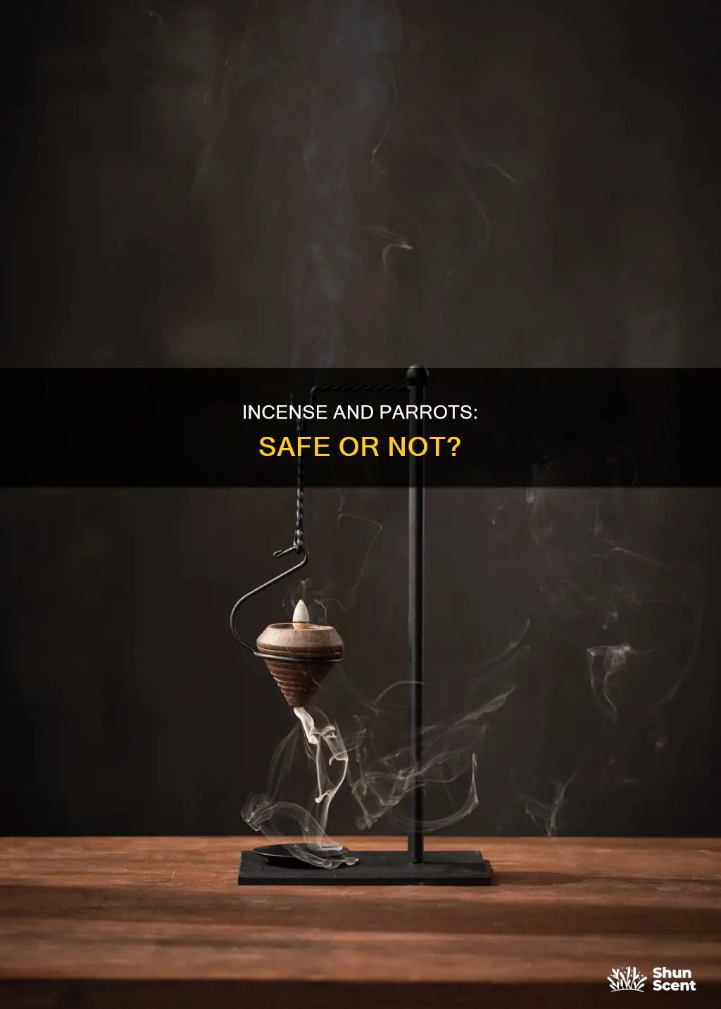 can you burn incense around parrots